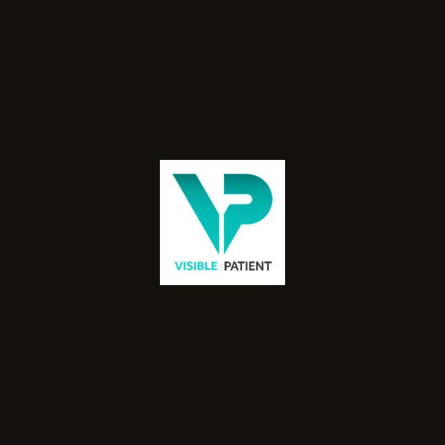 Visible Patient logo