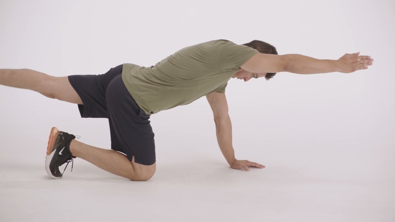 Bird Dog demonstrated by a NASM presenter (frame from NASM's official YouTube video)