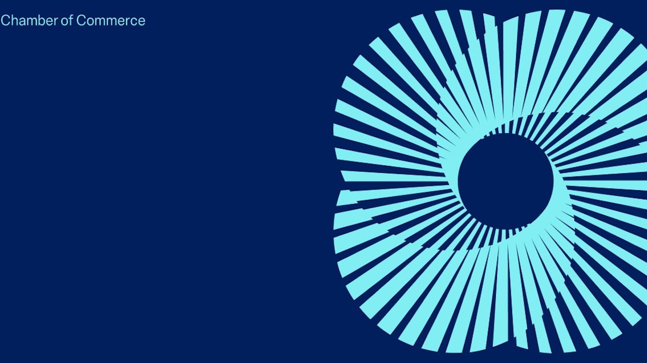Empowering Small Business: The Impact of Technology on U.S. Small Business (2025) (2025)