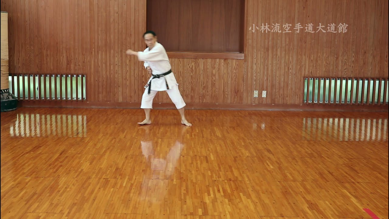 Photo (video still): a Daidokan instructor in white gi and black belt performing Pinan Sandan (Kobayashi Shorin-ryu) on a wooden dojo floor