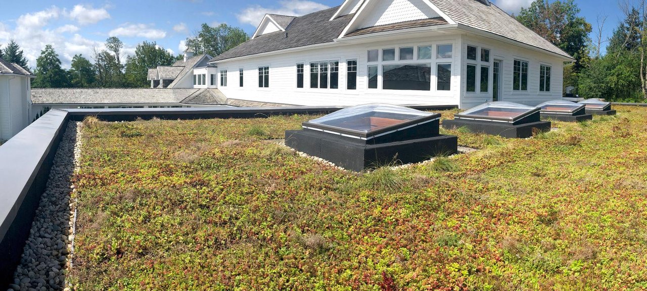 ZinCo Sedum Carpet by ZinCo