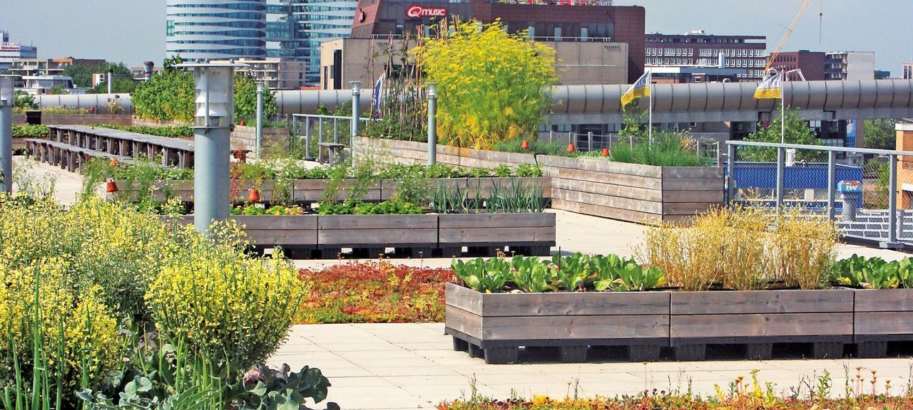 ZinCo Urban Rooftop Farming by ZinCo