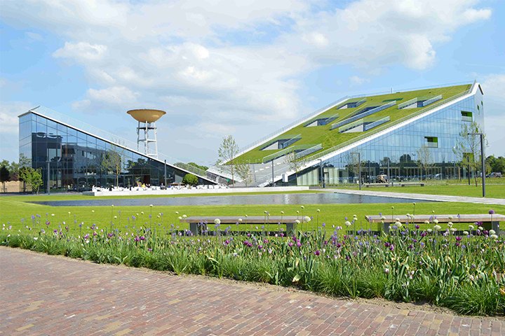 Optigrün Pitched Roof 10-30° P by Optigrün
