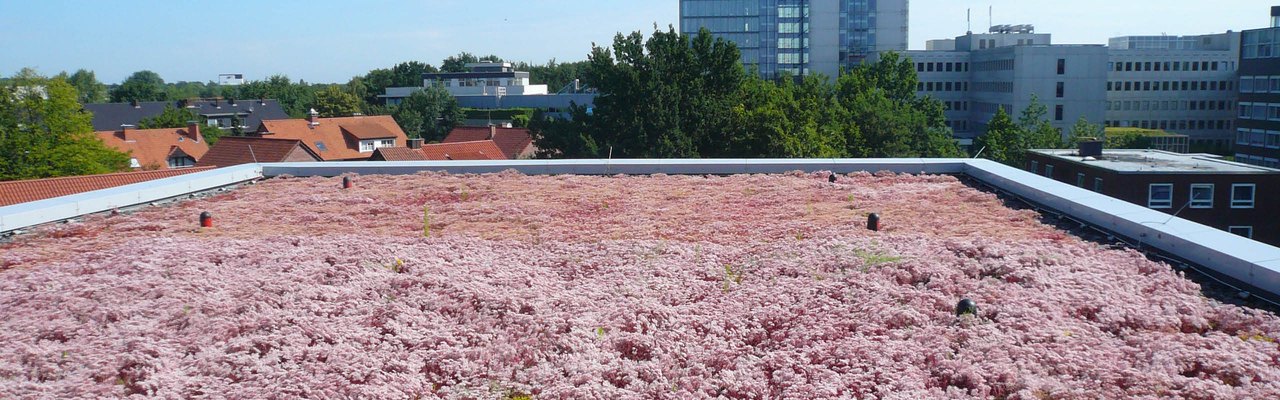 Optigrün Retention Roof Meander FKM 30 by Optigrün
