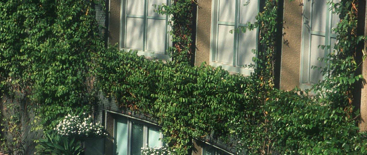 Greenscreen trellis system by Tournesol Siteworks (Greenscreen)