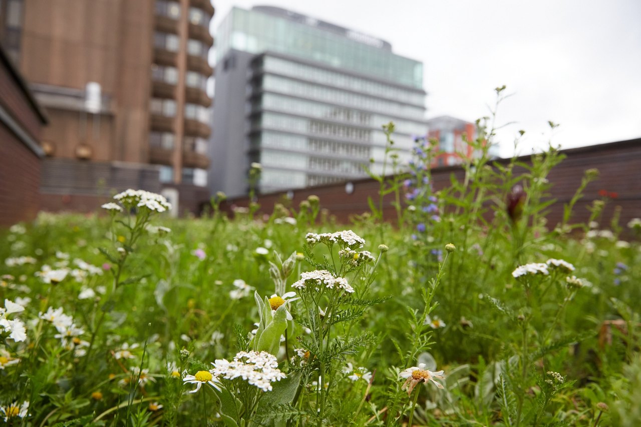 Polypipe Smart Blue-Green Roof by Polypipe Civils & Green Urbanisation
