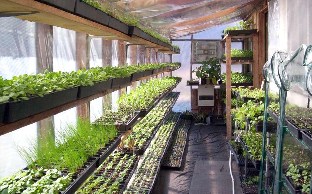 Manual para construir Walipinis: Invernaderos bolivianos para producir alimentos en climas extremos (2018)