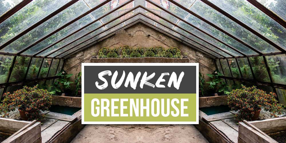 Sunken Greenhouse: The Solution To Plant Year Round (2026)