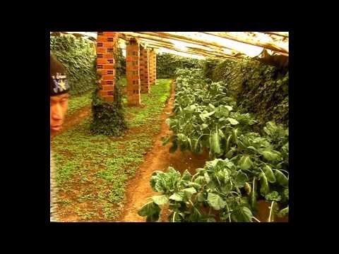 bolivia - sayaris i walipinis (2021)