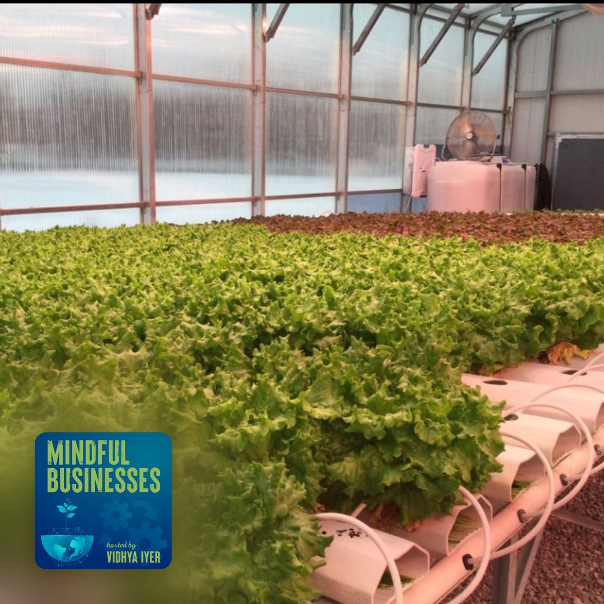 Ceres Greenhouse Solutions - Designing for a Better Future (2022)