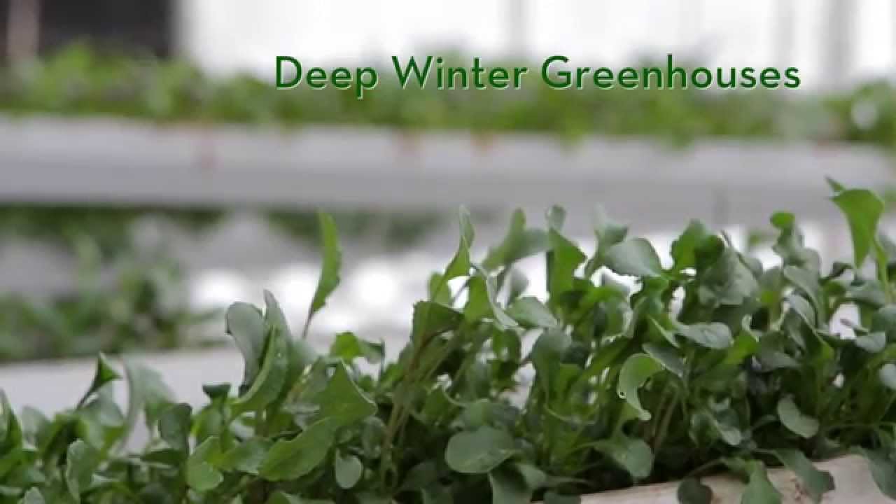 Deep Winter Greenhouses (2026)
