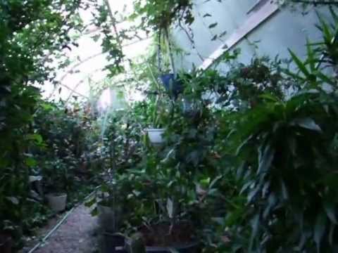 Greenhouse in the snow Alliance Nebraska (2026)