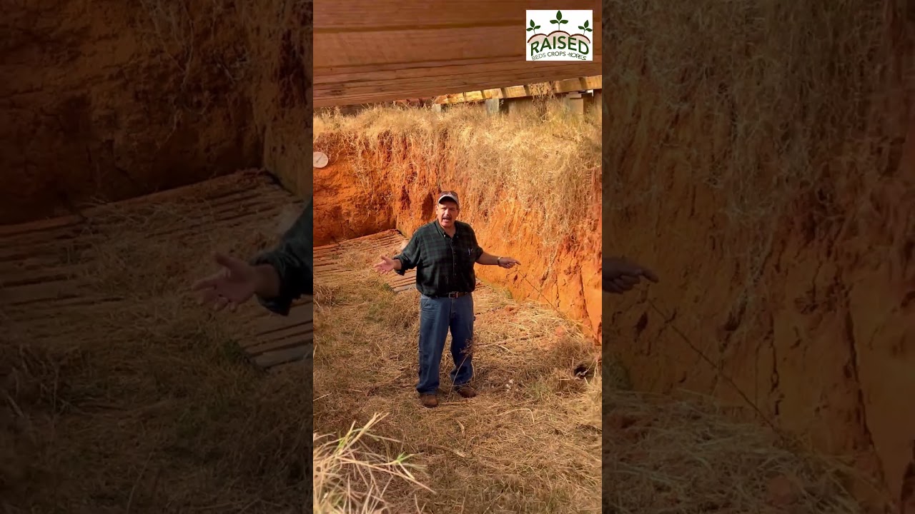 Underground greenhouse dug into red clay soil - Walipini (2026)
