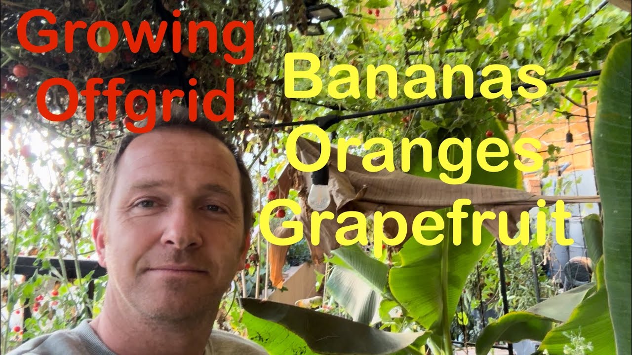 Underground Greenhouse Tour – Growing Citrus in the Snow! (2026)
