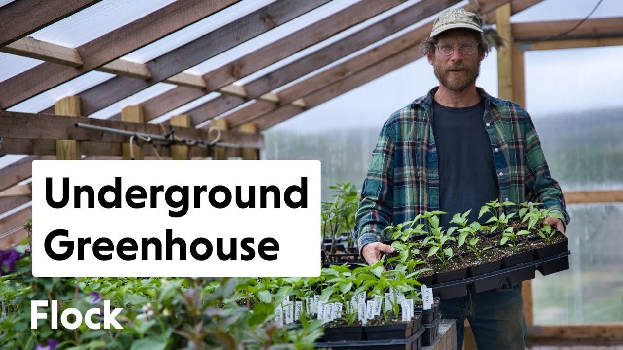 UNDERGROUND GREENHOUSE Update — Ep. 186 (2026)