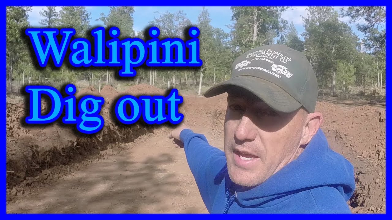 Walipini greenhouse build part 1, digging it out (2026)